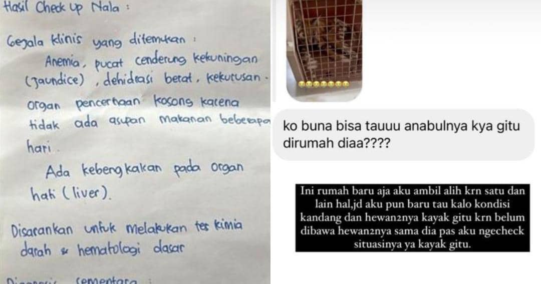 Instagram.com/rachelvennya